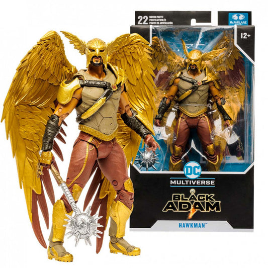 DC Multiverse: Hawkman Black Adam