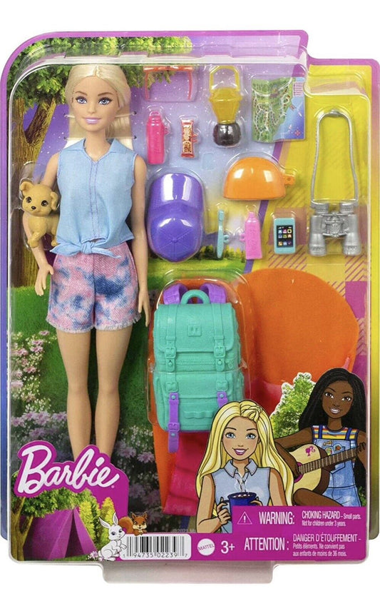 Barbie Doll and Accessories It Takes Two